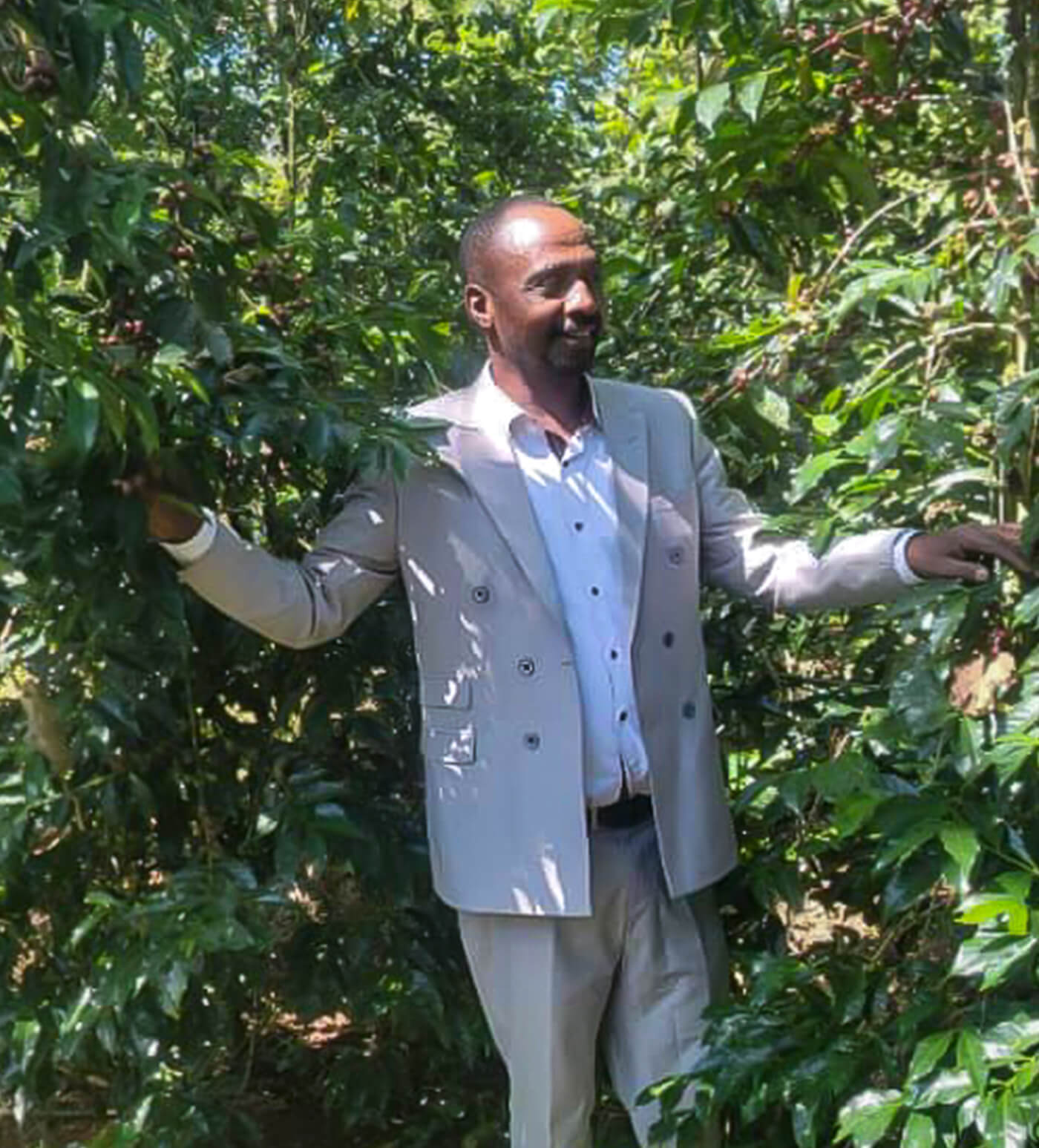 Ethiopia Mustefa Abakeno - Image 4